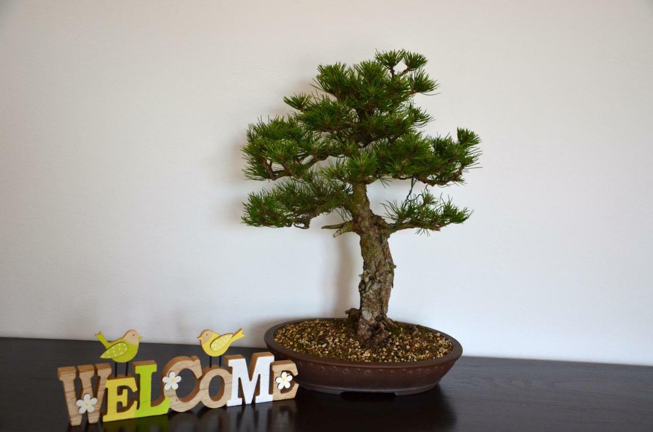 Bonsai House Lägenhet Portorož Exteriör bild